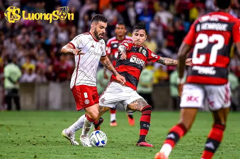 Flamengo đang là đội được đánh giá cao hơn trong trận đấu này
