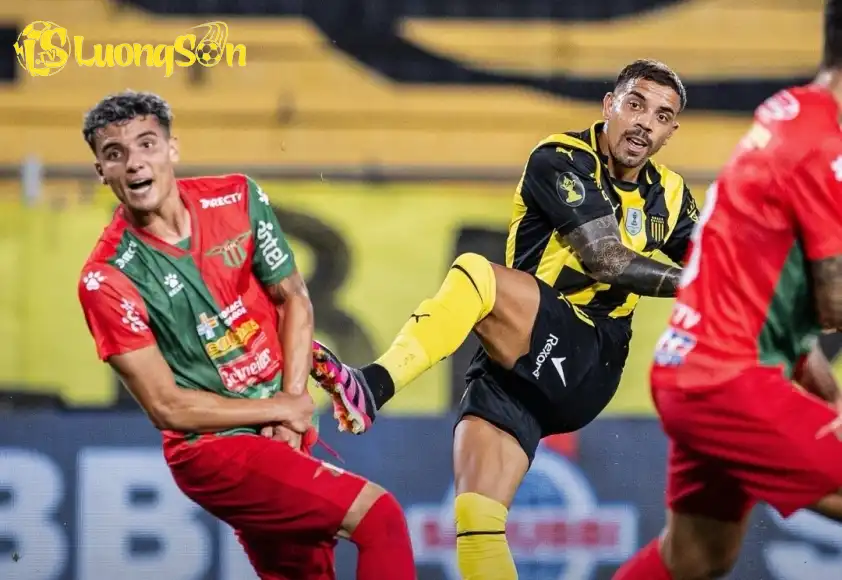 Peñarol đang có phong độ ấn tượng